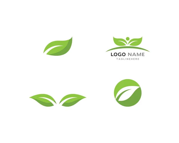 Zielony liść logo — Wektor stockowy