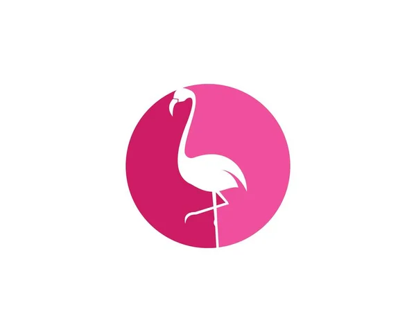 Logotipo Flamingo ilustración vector — Vector de stock