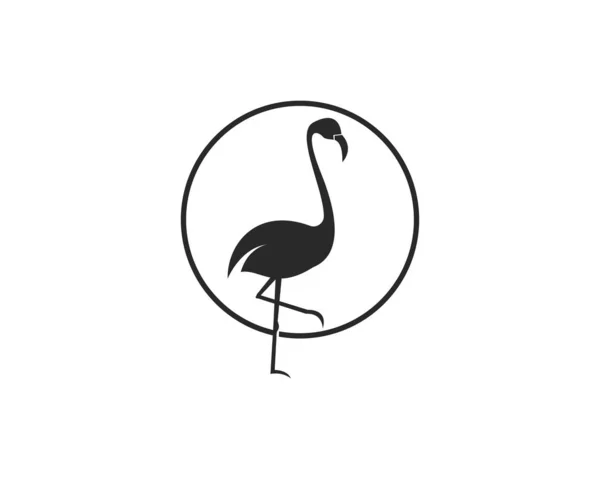 Logotipo Flamingo ilustración vector — Vector de stock