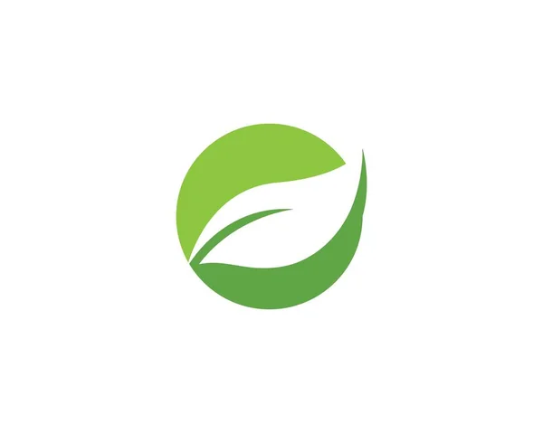 Grünes Blatt-Logo — Stockvektor