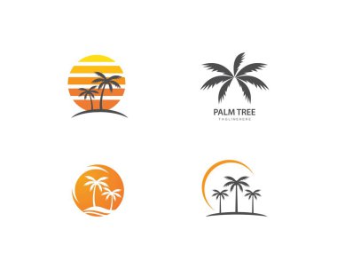 Palmiye ağacı yaz logo şablonu 