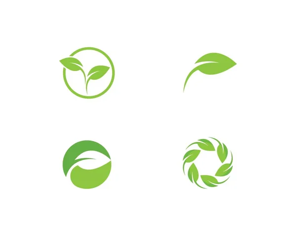 Green leaf logo — Stock Vector