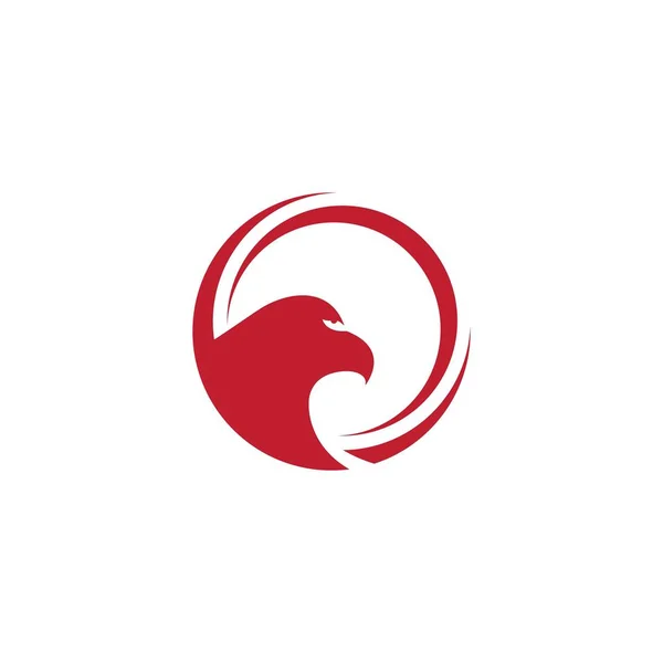 Falk örn fågel logotyp mall — Stock vektor