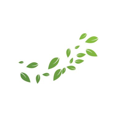 yeşil yapraklar arkaplan