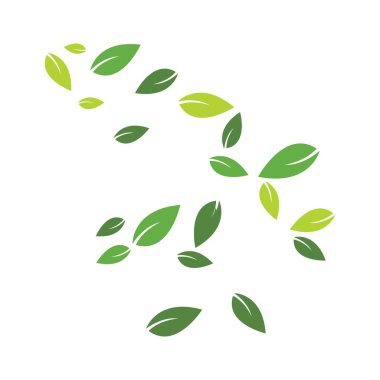 yeşil yapraklar arkaplan