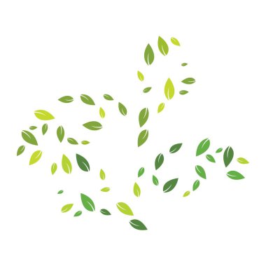 yeşil yapraklar arkaplan