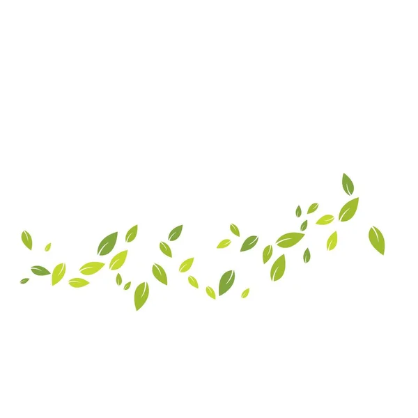 Zelené listy pozadí — Stockový vektor