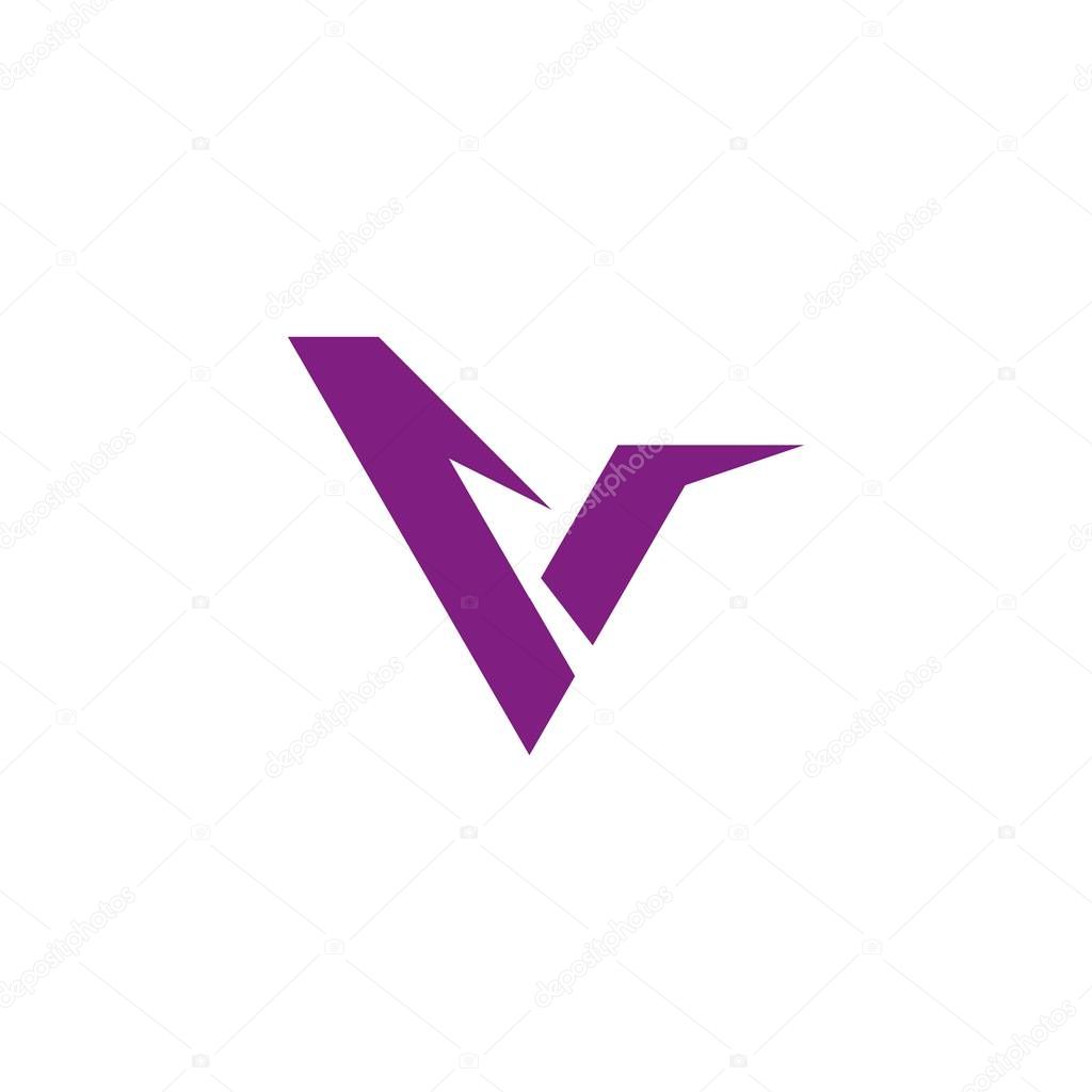 V Letter Logo Template vector illustration design