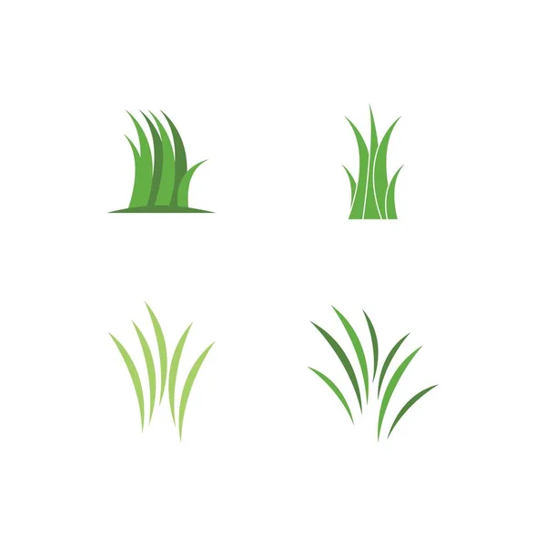 Natural Grass ilustration logo — Stock Vector