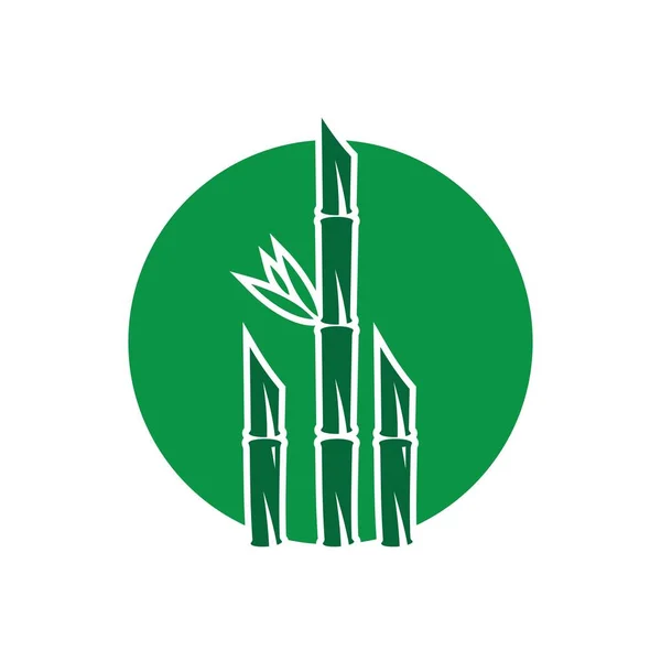 Bambus z zielonym liściem — Wektor stockowy