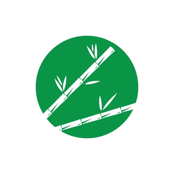 Yeşil yapraklı bambu. — Stok Vektör