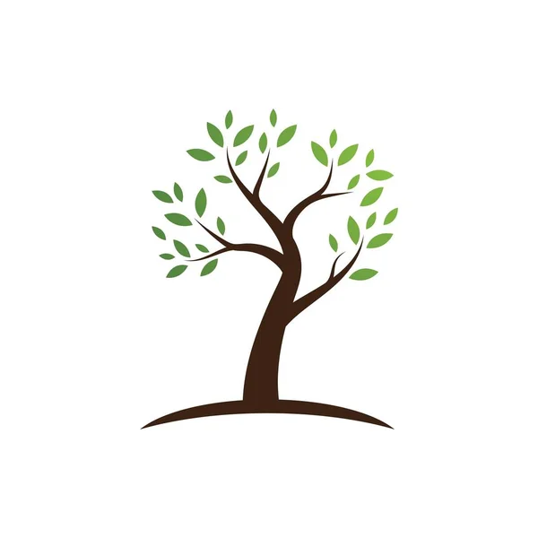 Plantilla de logotipo de árbol — Vector de stock