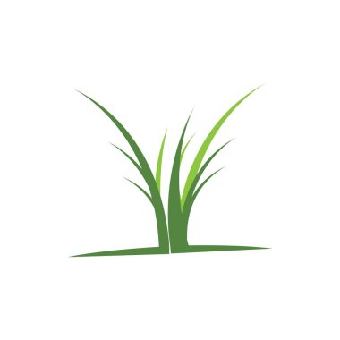 Çimen logo vektör şablonu