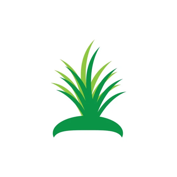 Wzór wektora logo trawy — Wektor stockowy