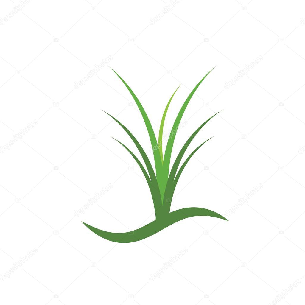 Grass logo vector template design