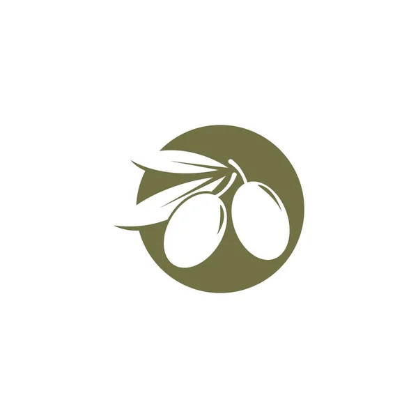 Το πρότυπο λογότυπο ελιάς — Διανυσματικό Αρχείο
