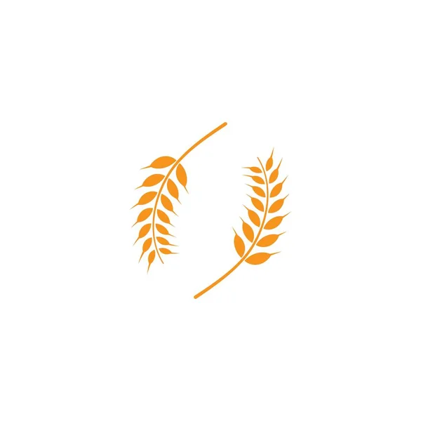 Wheat Logo — Stock Vector