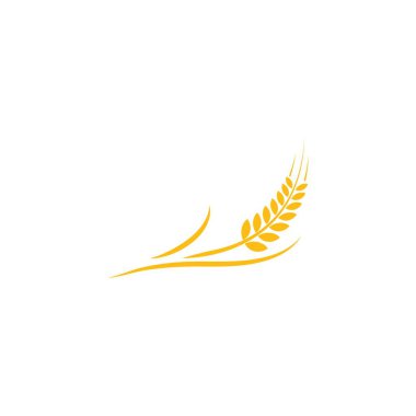 Buğday logo vektörü 
