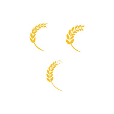 Buğday logo vektörü 