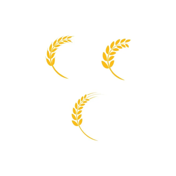 Vektor loga pšenice — Stockový vektor