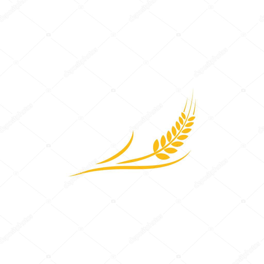 Wheat logo vector template design