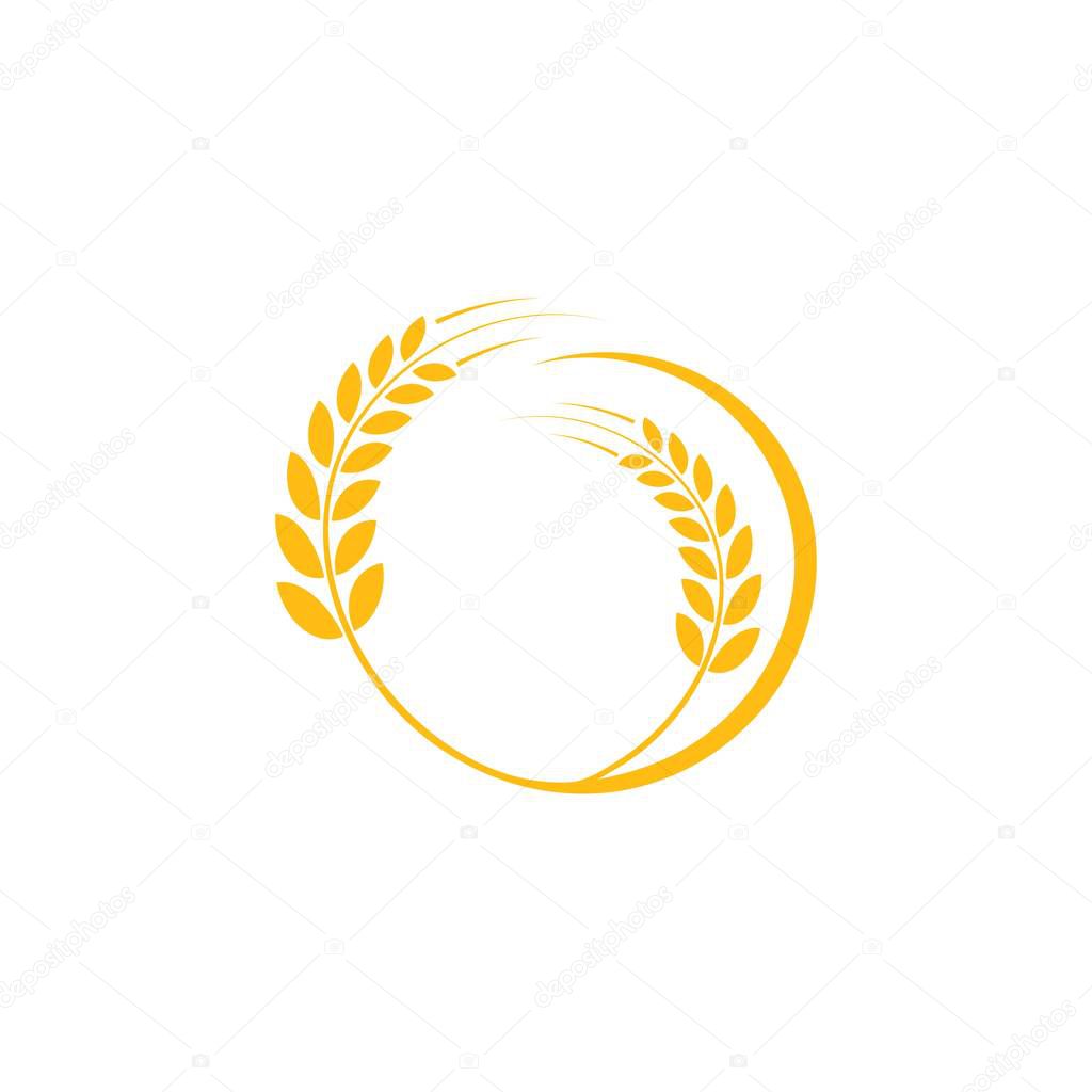 Wheat logo vector template design