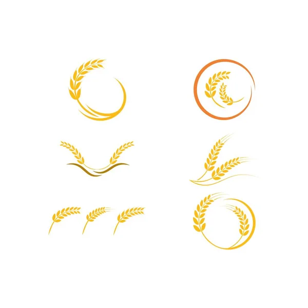 Mezőgazdasági búza logo — Stock Vector