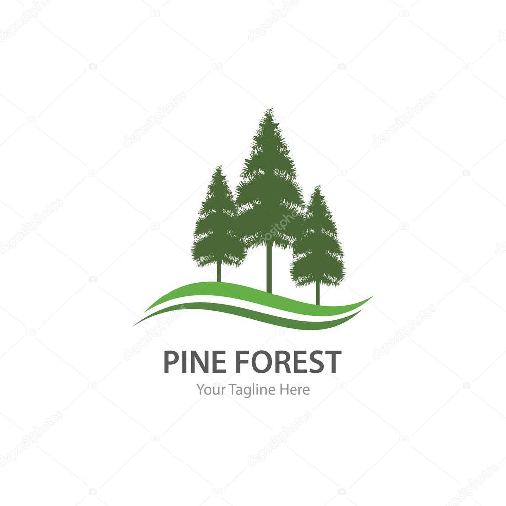Pine tree logo ilustration vector design