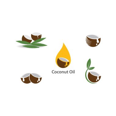 Hindistan cevizi meyve vektörü