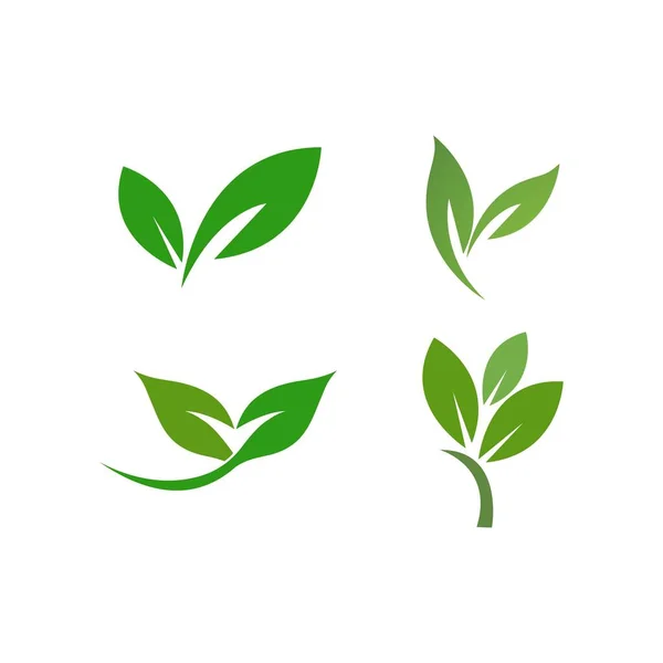 葉のロゴイラスト自然要素ベクトル — ストックベクタ