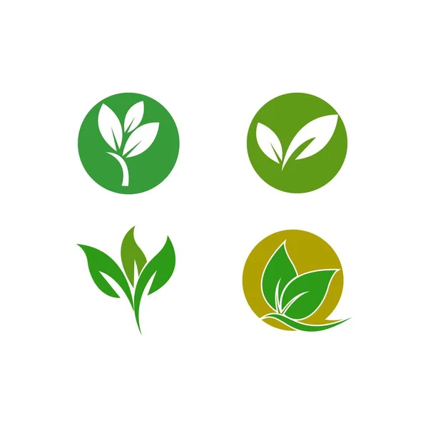 Blatt Logo Illustration Natur Element Vektor — Stockvektor