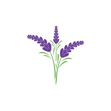 Taze lavanta çiçeği logo vektörü düz tasarım