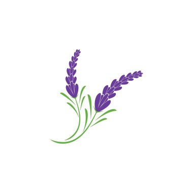 Taze lavanta çiçeği logo vektörü düz tasarım