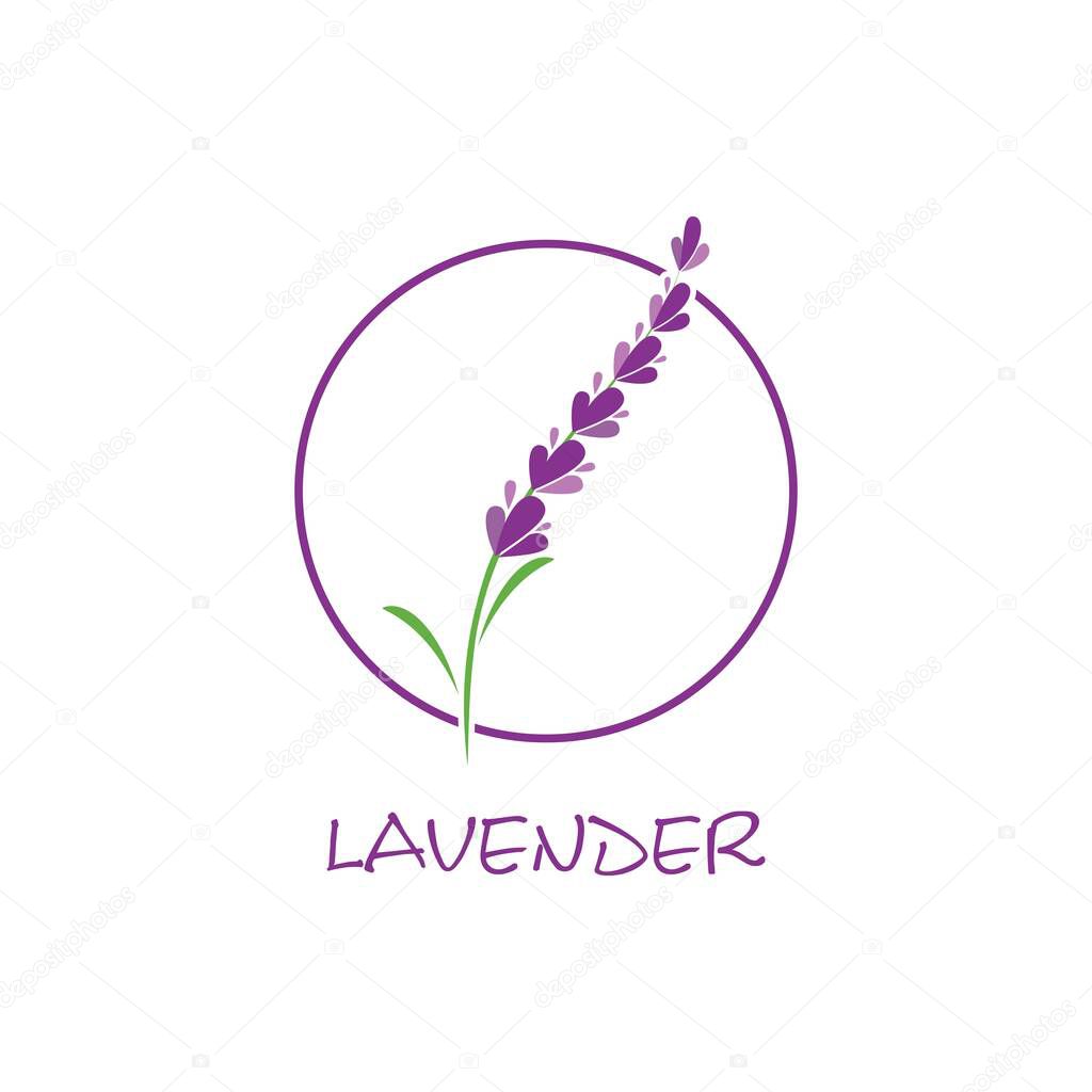 Fresh Lavender flower logo vector flat design