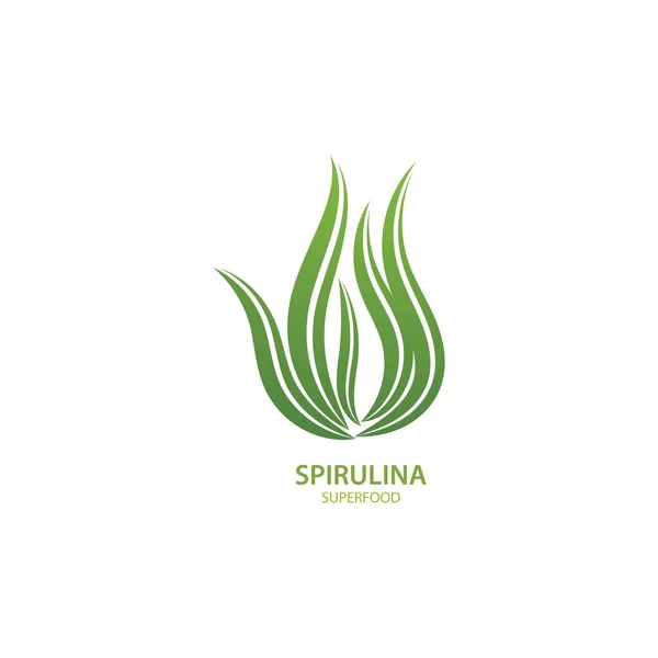 Spirulina Φύκια Φύλλο Λογότυπο Εικονογράφηση Διάνυσμα Σχεδιασμό — Διανυσματικό Αρχείο