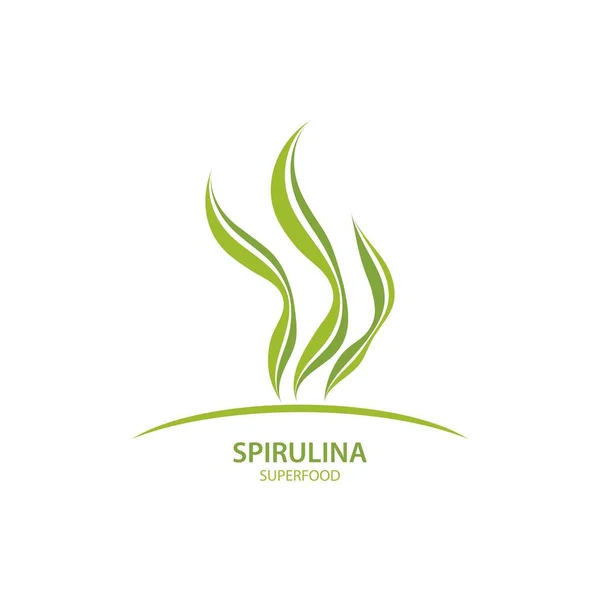 Espirulina Alga Folha Logotipo Ilustração Vetor Design —  Vetores de Stock