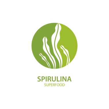 β ulina yosun yaprağı logo illüstrasyon vektör tasarımı