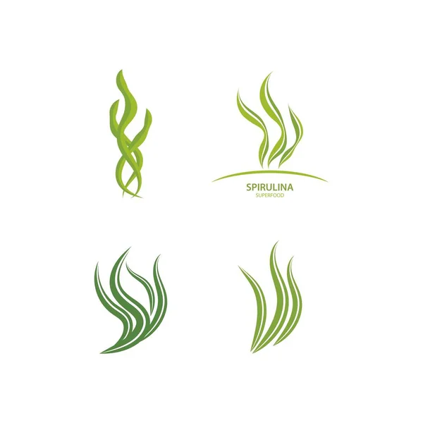 Espirulina Alga Folha Logotipo Ilustração Vetor Design — Vetor de Stock