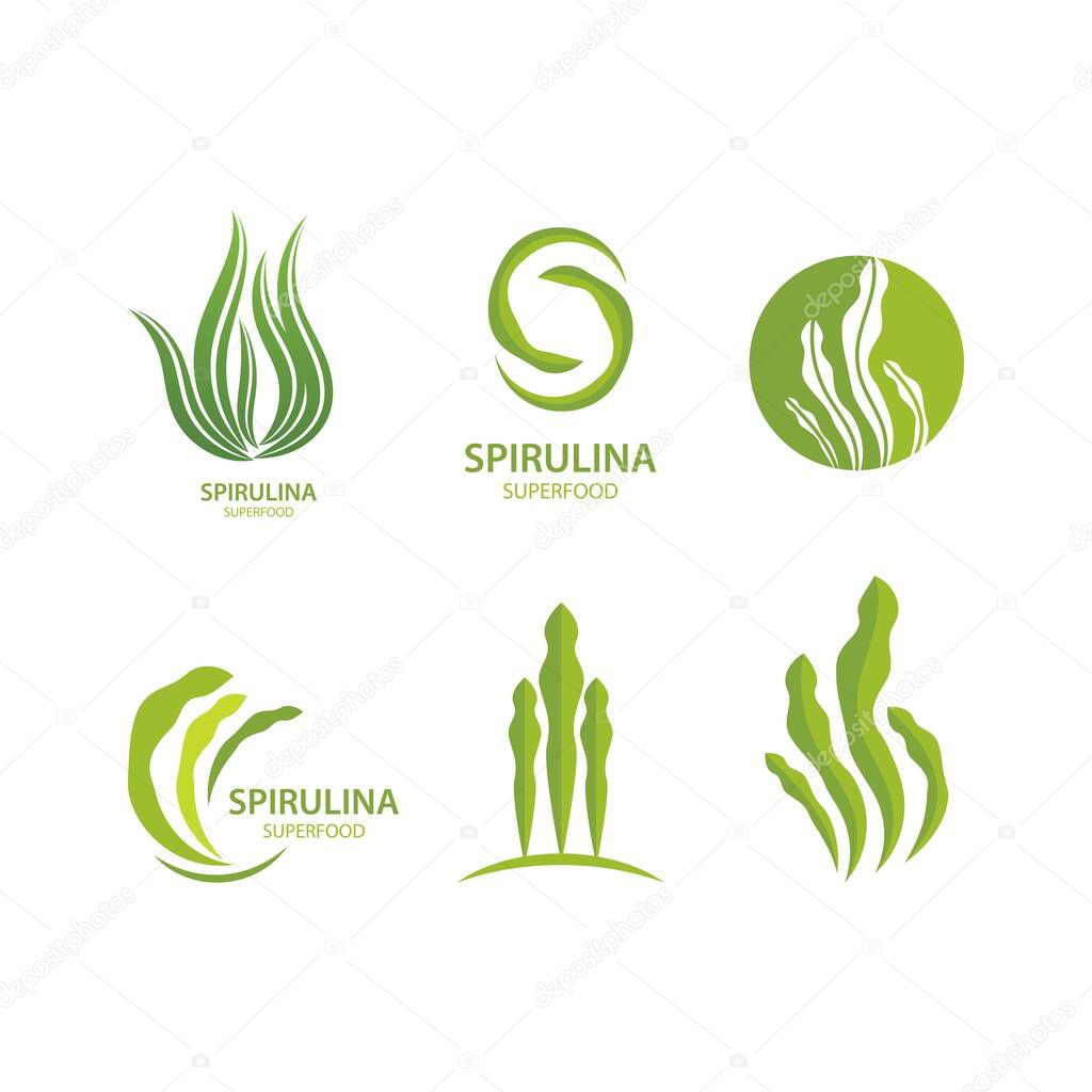 Spirulina seaweed leaf logo illustration vector design
