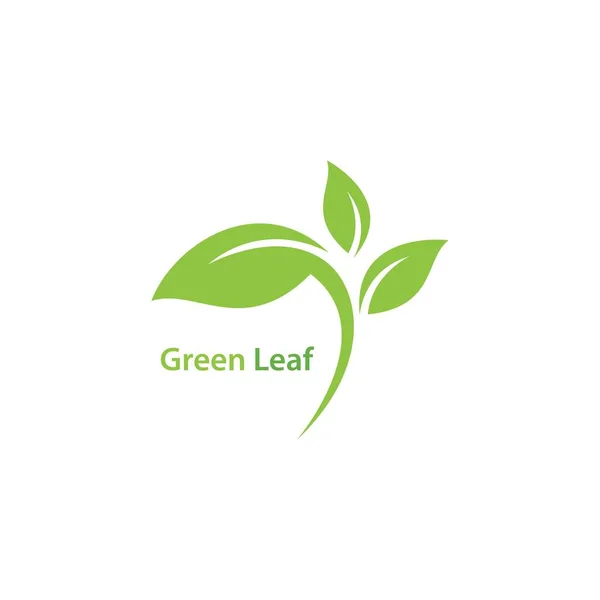 Folha Verde Logotipo Ecologia Elemento Natureza Vetor Ícone — Vetor de Stock
