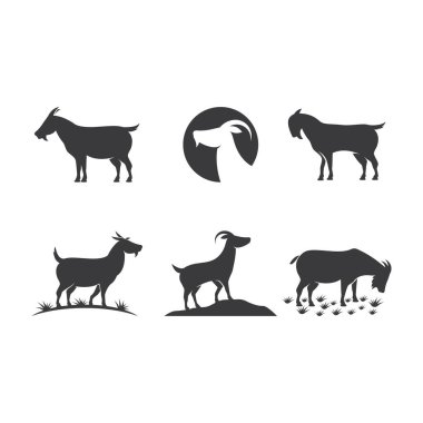 Keçi Logosu Şablonu vektör çizimi