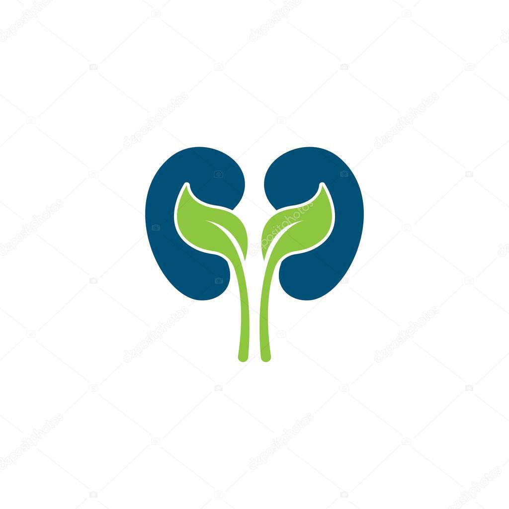 Kidney illustration icon vector design