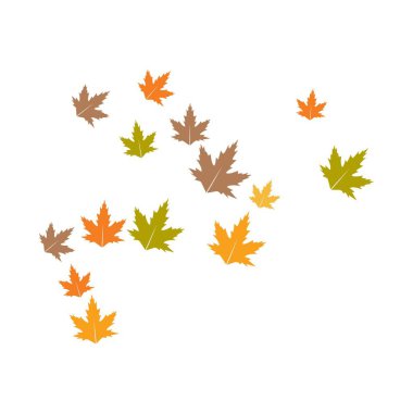 Autum Leaf Logo şablon vektör çizimi