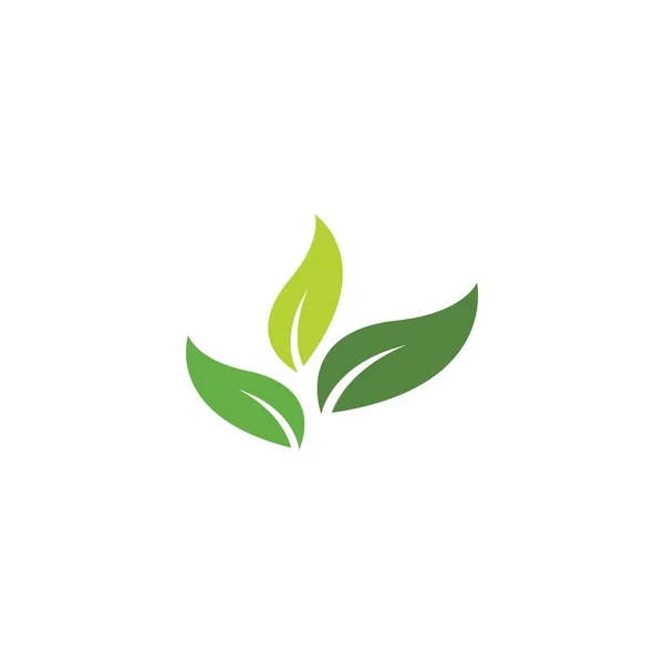Groene Blad Ecologie Natuur Element Vector — Stockvector