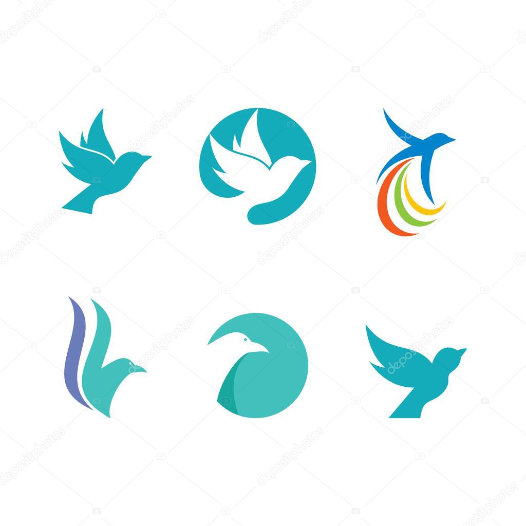 Bird illustration vector flat design