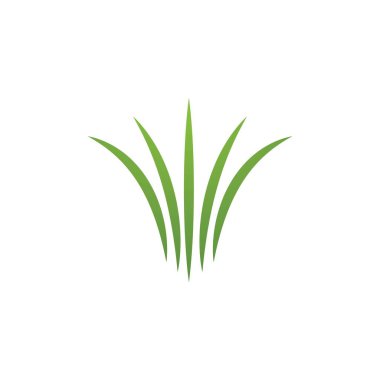 Doğal Çimen ilüstrasyon logo vektör tasarımı