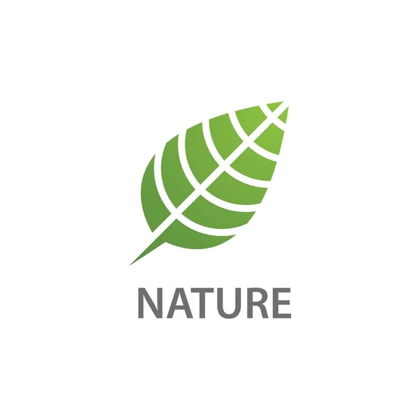 Modello Modello Vettoriale Logo Foglia Prodotto Naturale — Vettoriale Stock