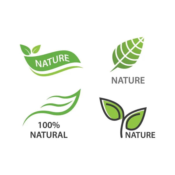 Diseño Plantilla Vector Logotipo Hoja Producto Natural — Vector de stock