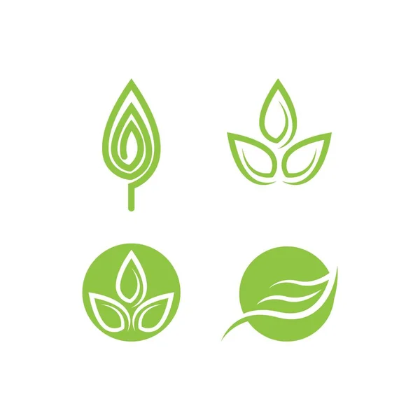 Leaf Logo Icon Vector Template Design — Stock Vector