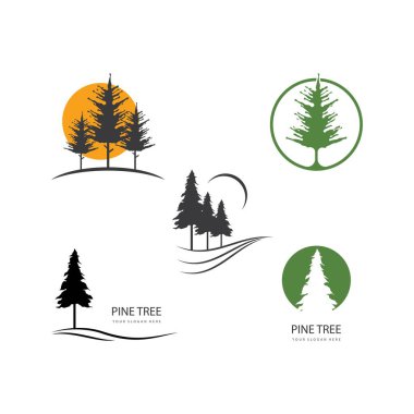 Çam ağacı ilüstrasyon logo vektör tasarımı
